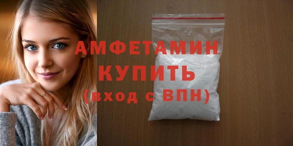 гидра Бородино