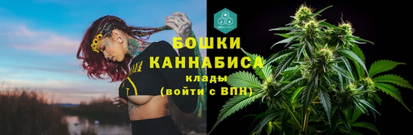 гидра Бородино