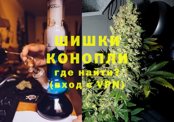 гидра Бородино