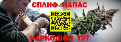 индика Янаул