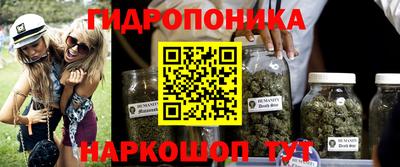 шишки Ярцево