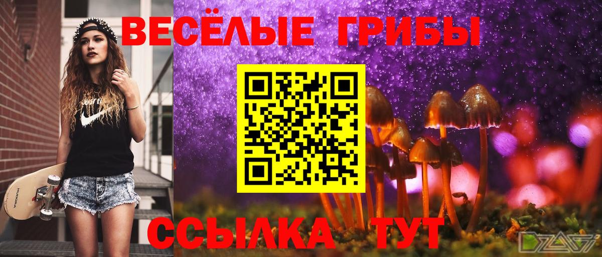 Бузулук  Псилоцибиновые грибы прущие грибы  Псилоцибиновые грибы MAGIC MUSHROOMS  Вход с VPN 